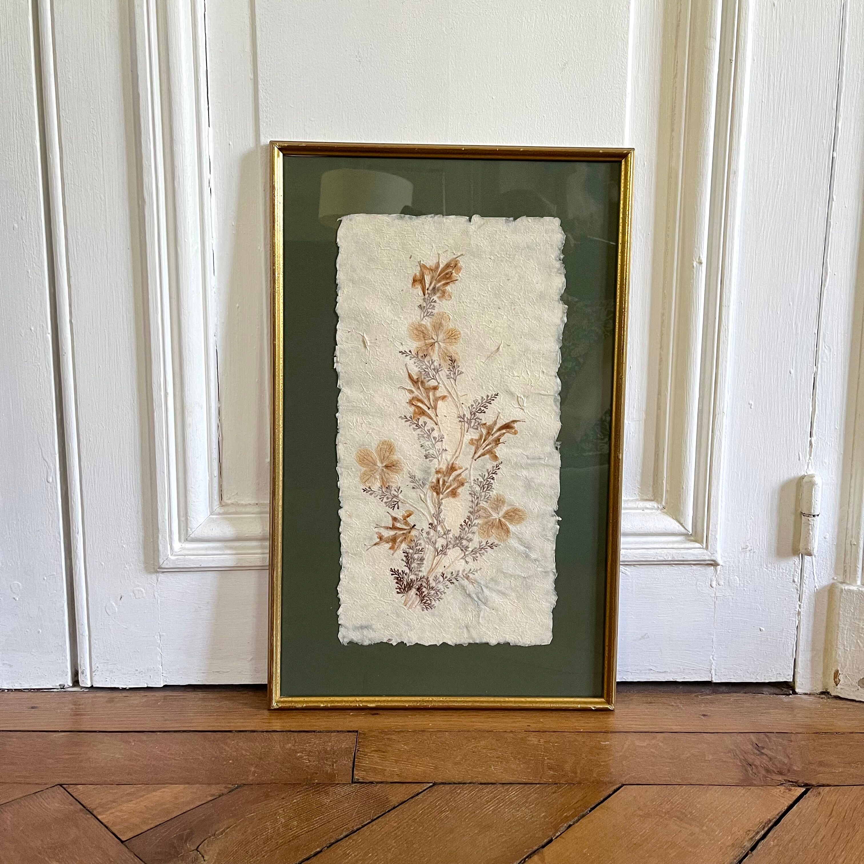 Vintage herbarium frame dried flowers 70s