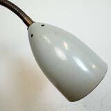 Grey Industrial Gooseneck Table Lamp from Philips, 1960s