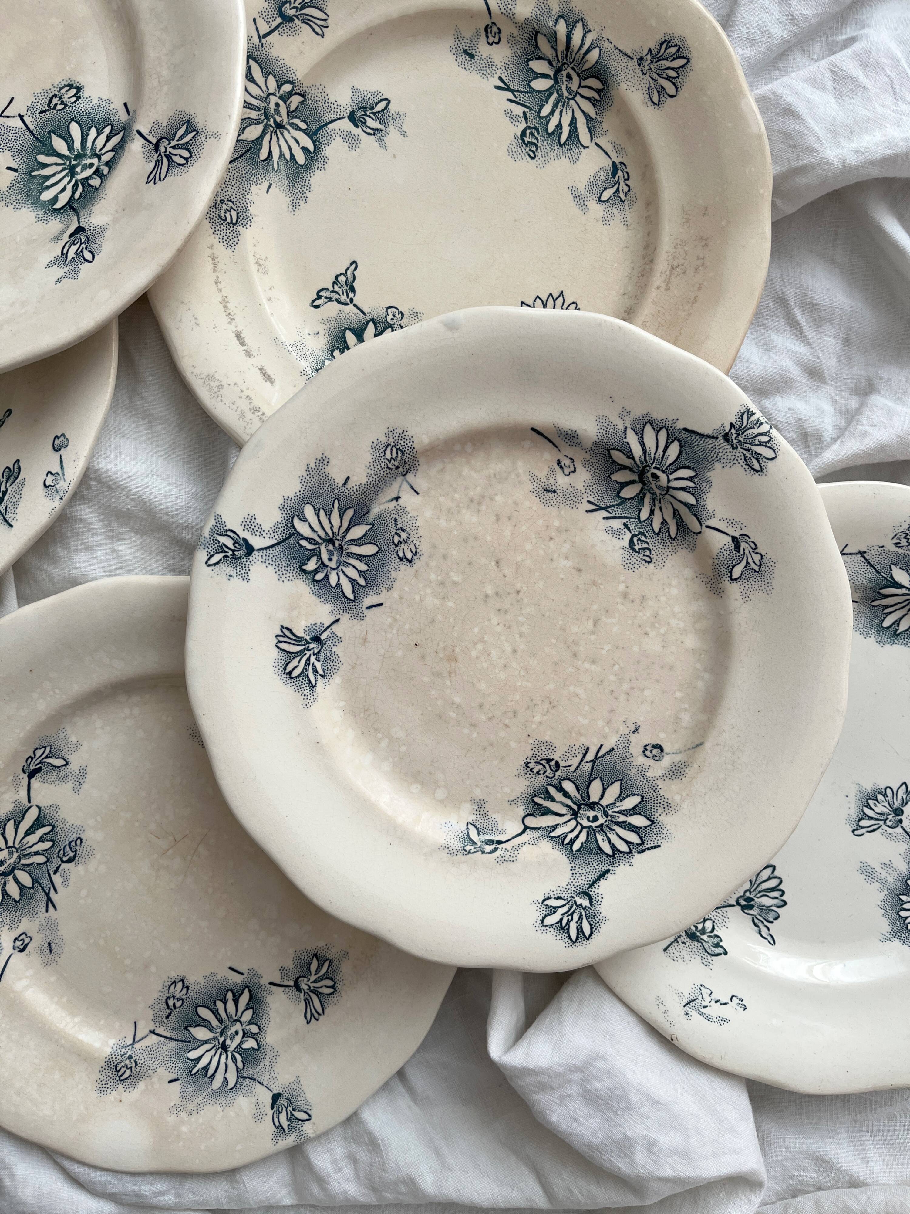 7 "Marguerite" ironstone dessert plates from the Nouvelle Givors pottery factory
