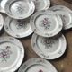 Set of 10 flat plates Villeroy & Boch – bucolic design – 24.5 cm