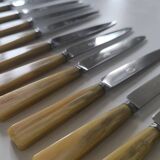 Set de 12 couteaux en bakélite et inox