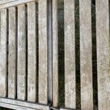 Chaises longues