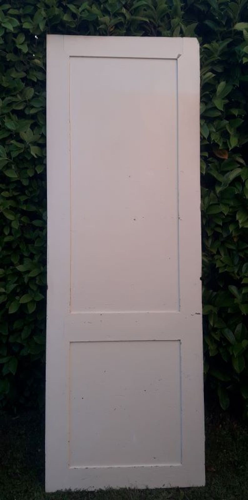 Porte 229,2x79,2cm de placard ancienne