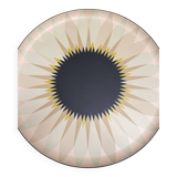 Louis Vuitton Objets Nomades Talisman Table by India Mahdavi (Edition 27/30