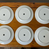 White and silver plates