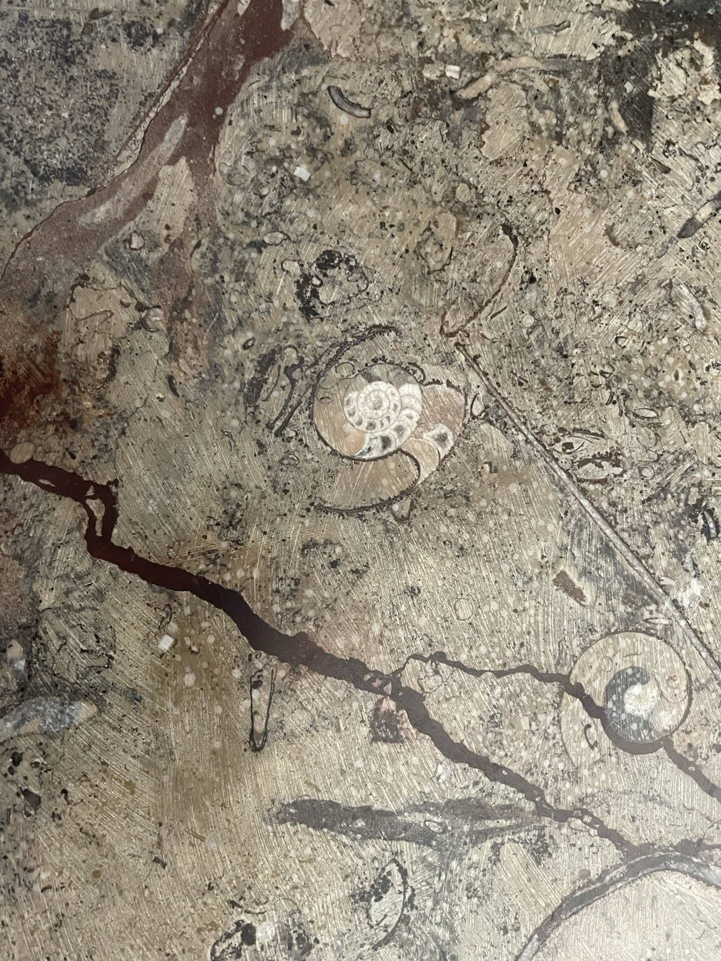 Round plate, fossil marble catch-all 35cm