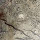 Round plate, fossil marble catch-all 35cm