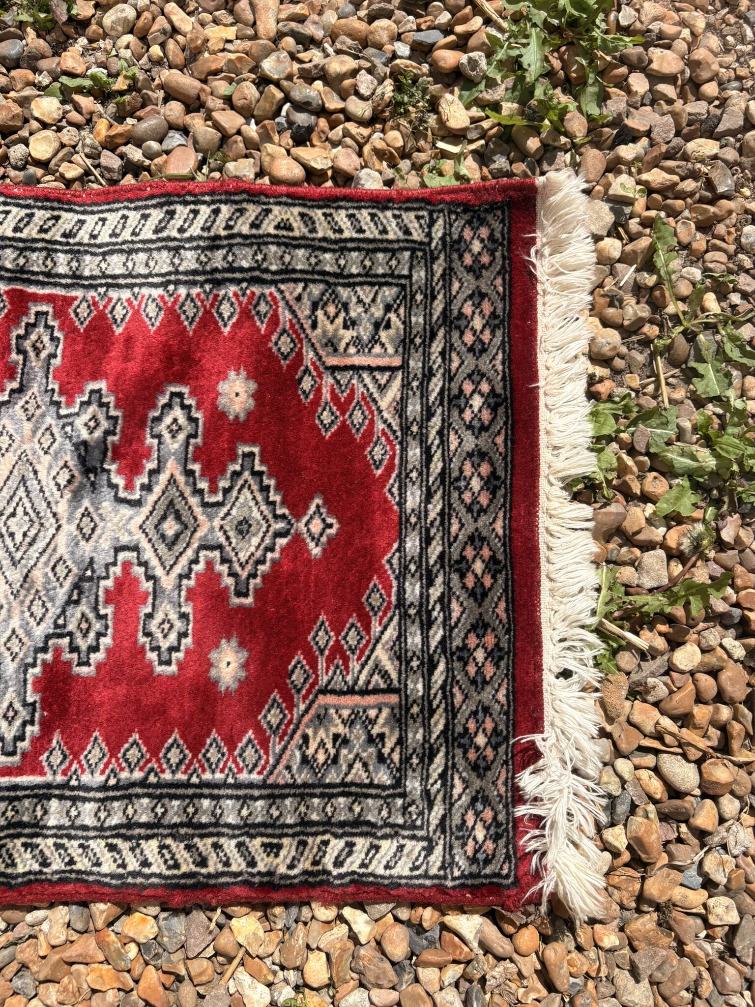 Carpet Pakistan Afghanistan Bokhara Balouch Entrance