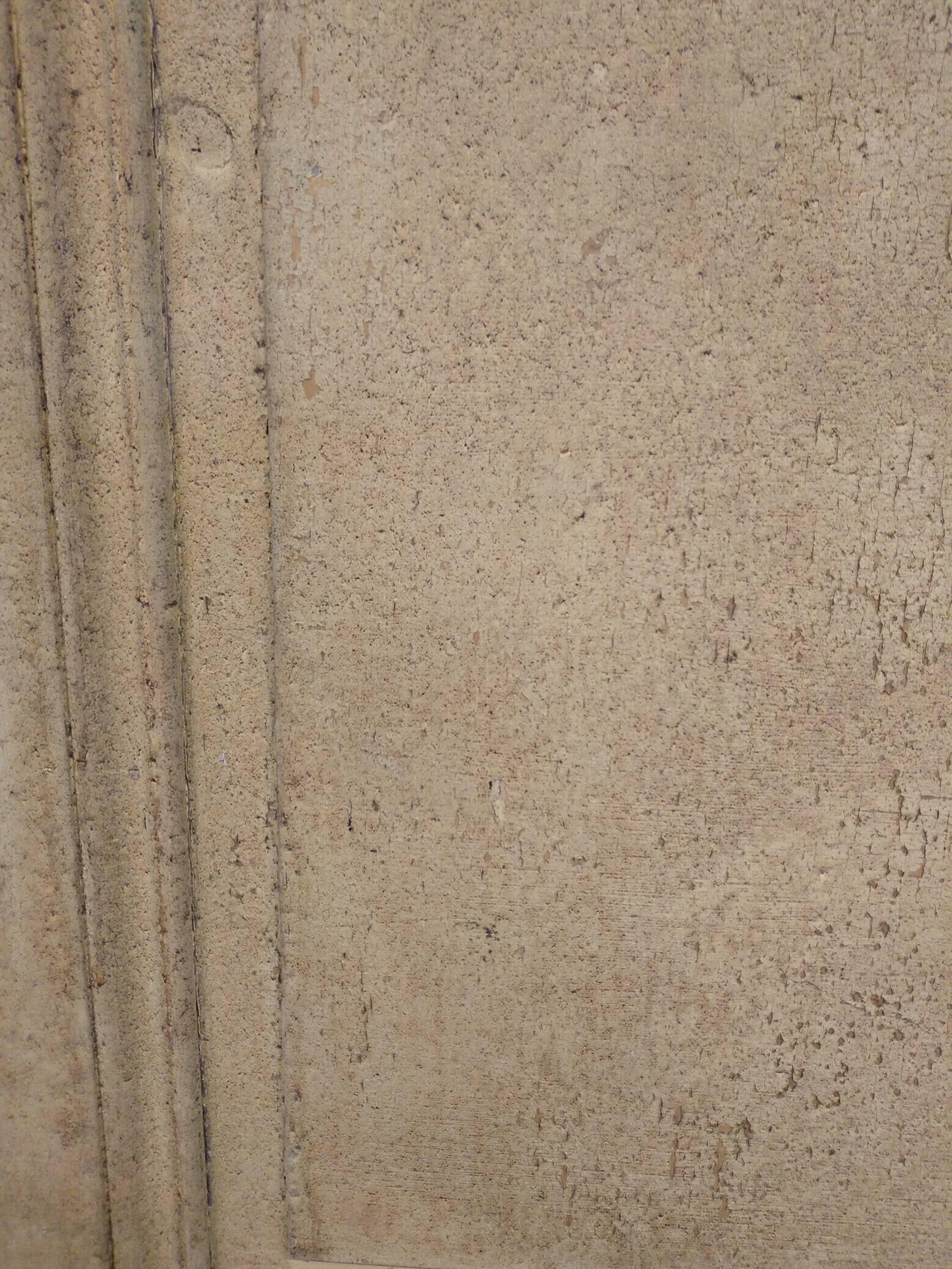 Antique closet doors