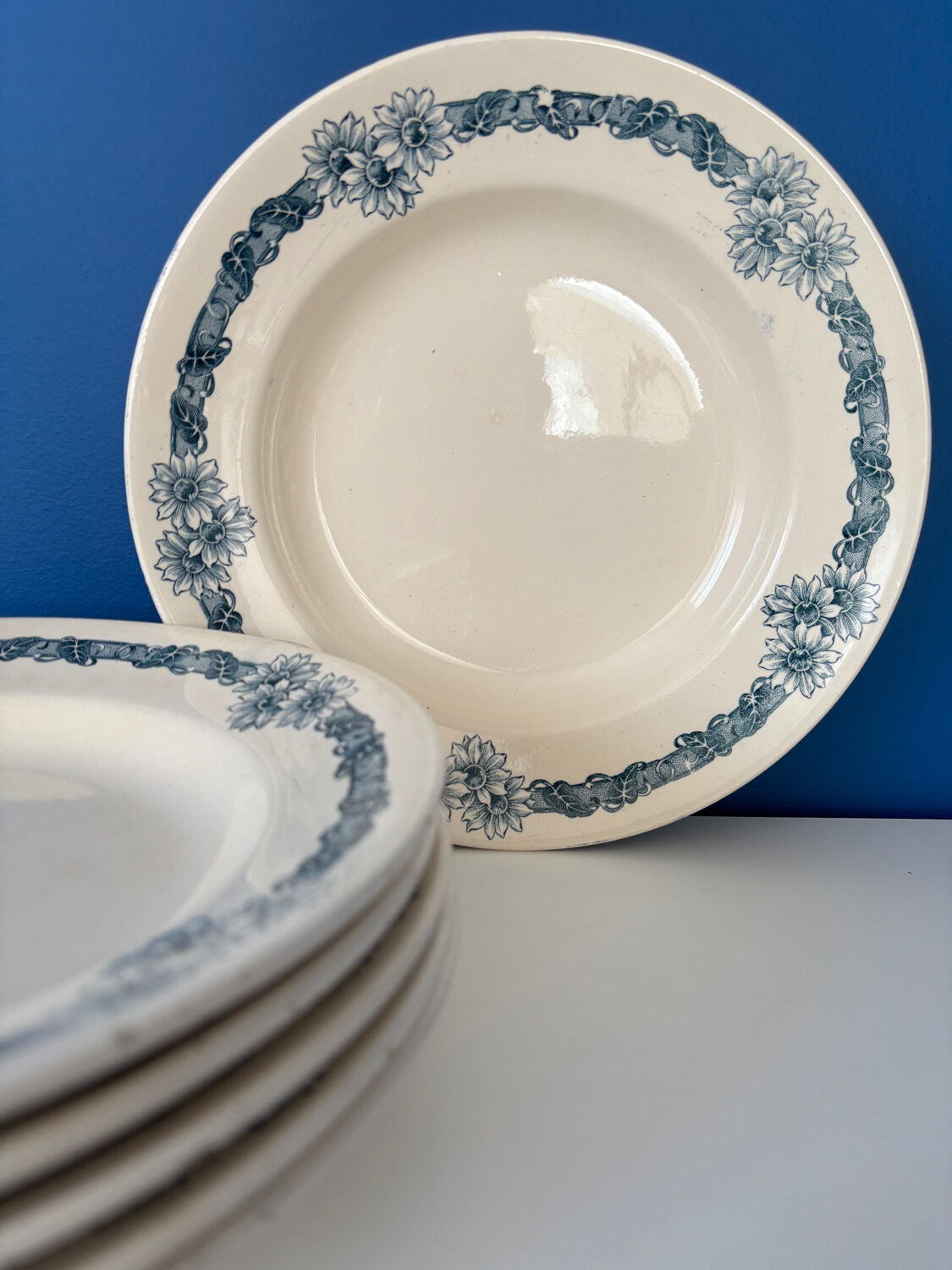 Set of 6 semi-deep plates in ironstone Longchamp model Denise.