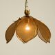 Beautiful rare 1980s Regency floral design brass ceiling lamp