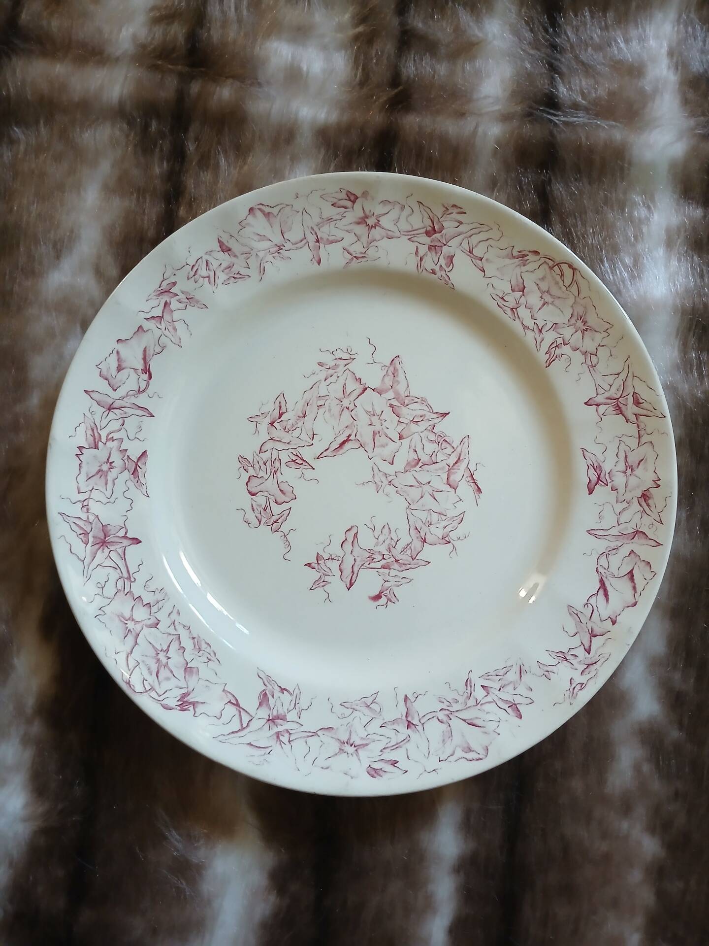 13 mismatched flat plates in ironstone