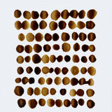 Illustration au café "bulles"