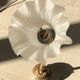 Wall light old swan collar wall in brass and frosted glass, good floral shape.