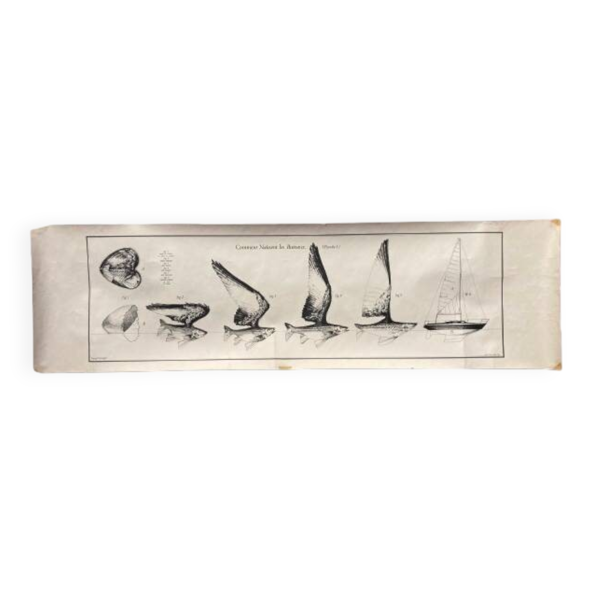 Print "How boats are born (plate 1)" by Jean Olivier Héron
