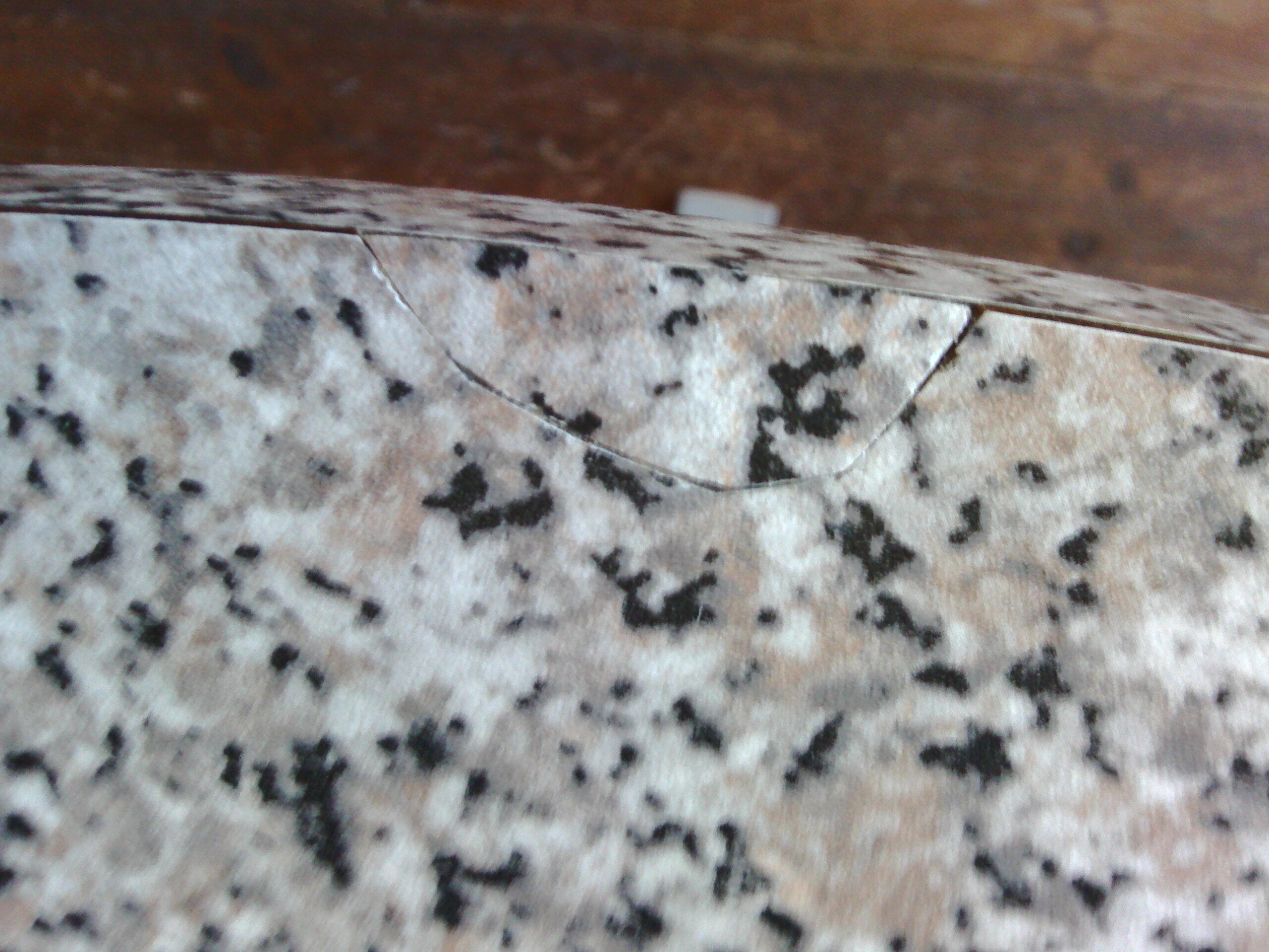 Extension roundtable 1970