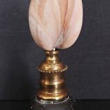 Cabinet of Curiosities codakia tigerina shell on base