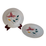 2 Digoin Sarreguemine plates