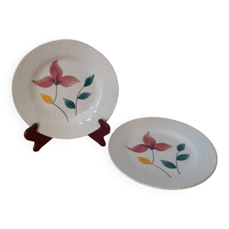 2 Digoin Sarreguemine plates