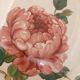 5 flat plates Villeroy Boch model Bouquet ø 26 cm