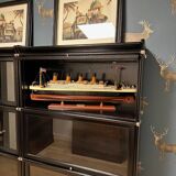 Black Globe Wernicke Bookcase