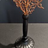 Cabinet of Curiosities red gorgon paramuricea clavata on base