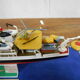 Model the calypso
