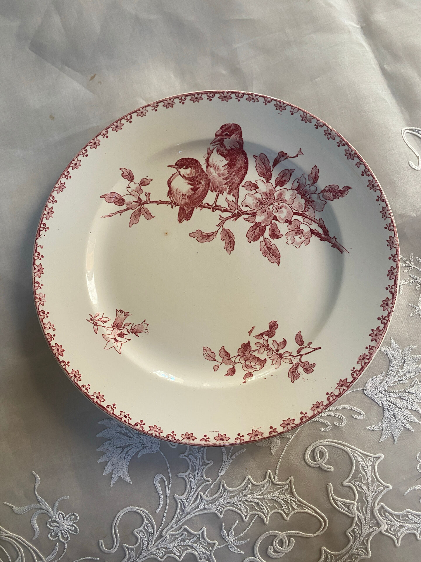 Assiette plate modèle Favori de Sarreguemines