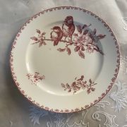 Flat plate model Favori from Sarreguemines