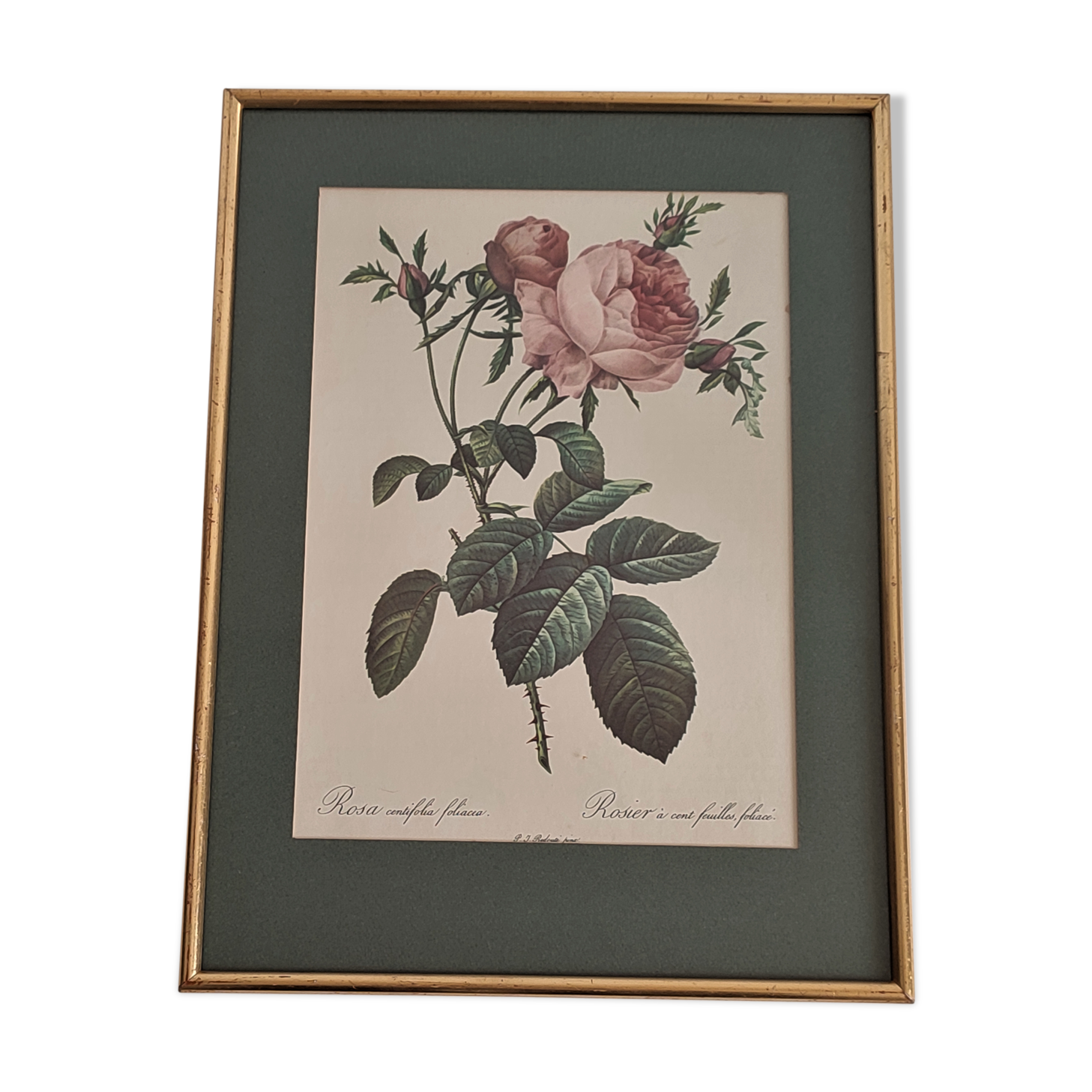 Dreaded Botanical Board