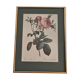 Dreaded Botanical Board