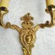 Old bronze rock style appliques