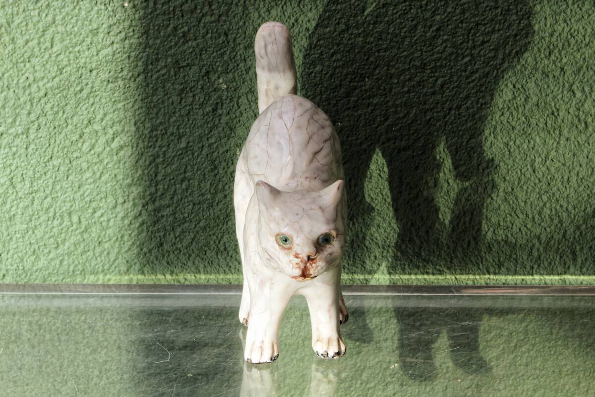 Glazed terracotta chat, region of Bavent