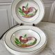 Lot of 5 hollow plates digoin sarreguemines model "rooster" years 40-50