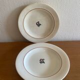 Antique ironstone plates from the coal mines