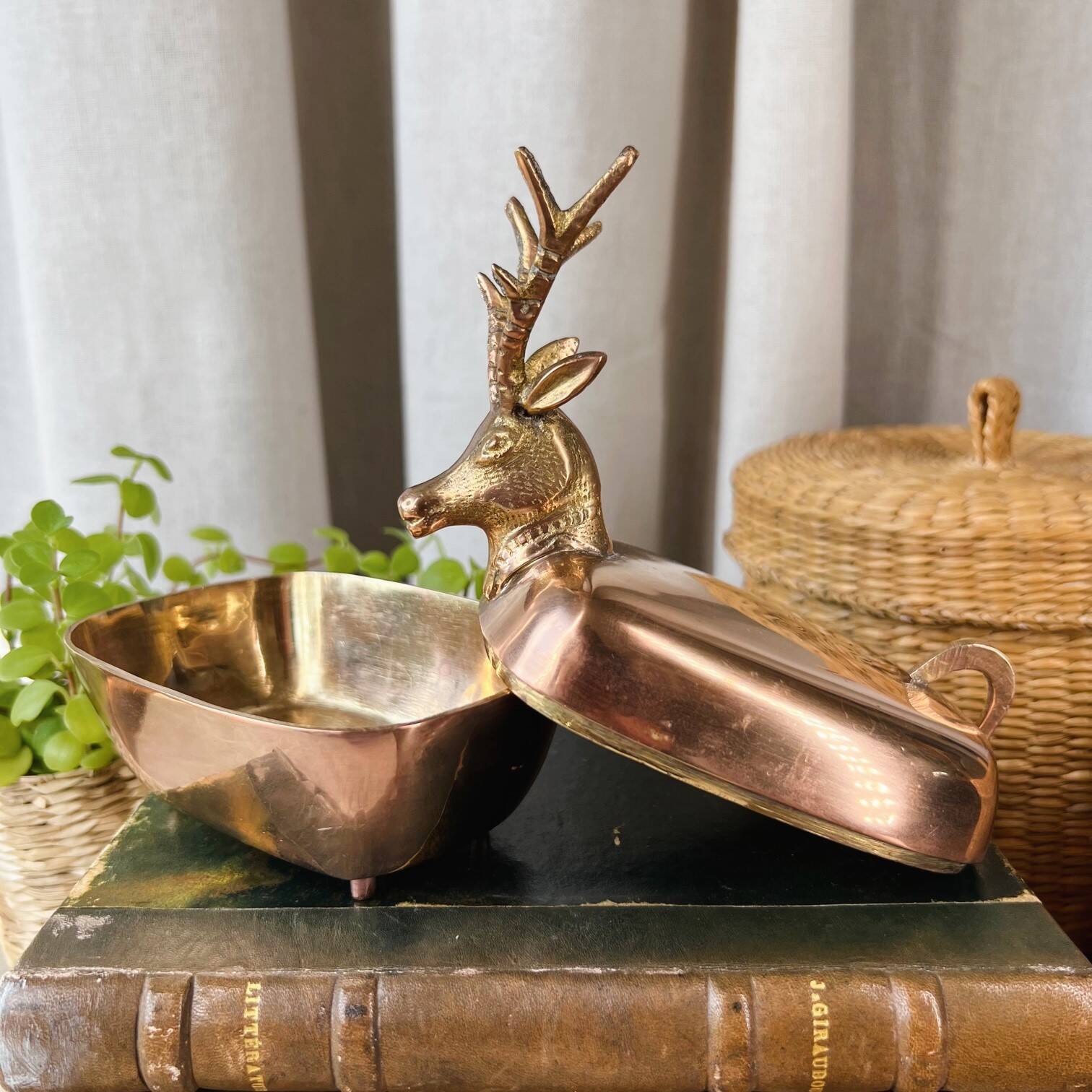 “Deer” brass box