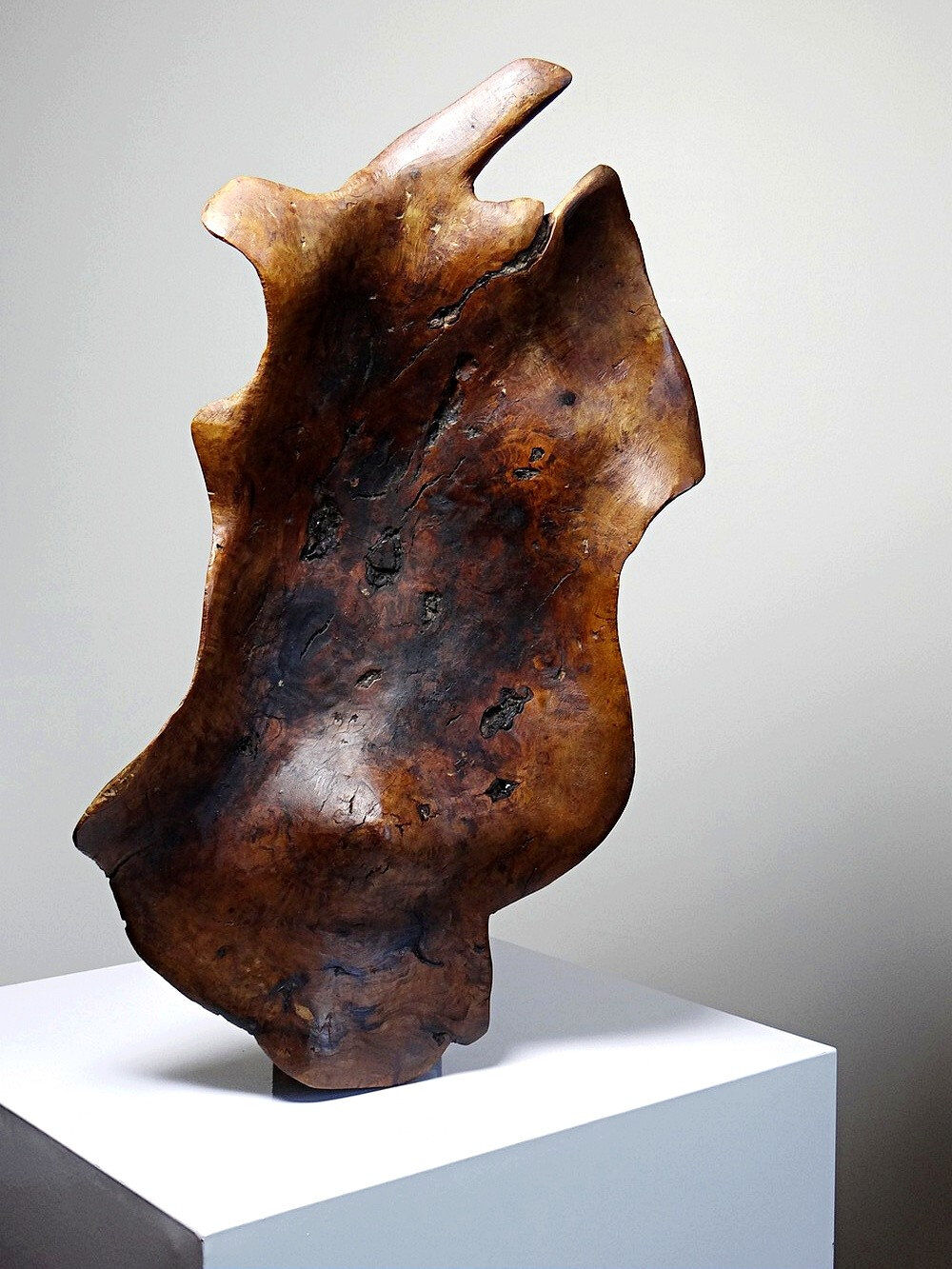 Large monoxyle bowl made of dark raw olive wood from the 1950s.