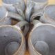 6 mugs France