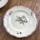 10 flower plates Sarreguemines Lyon