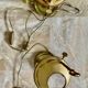 Pair of bronze hot water bottles and Empire-style painted sheet metal