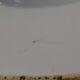 Porcelain dish from limoges or paris around 1900 decoration at martin pecheur