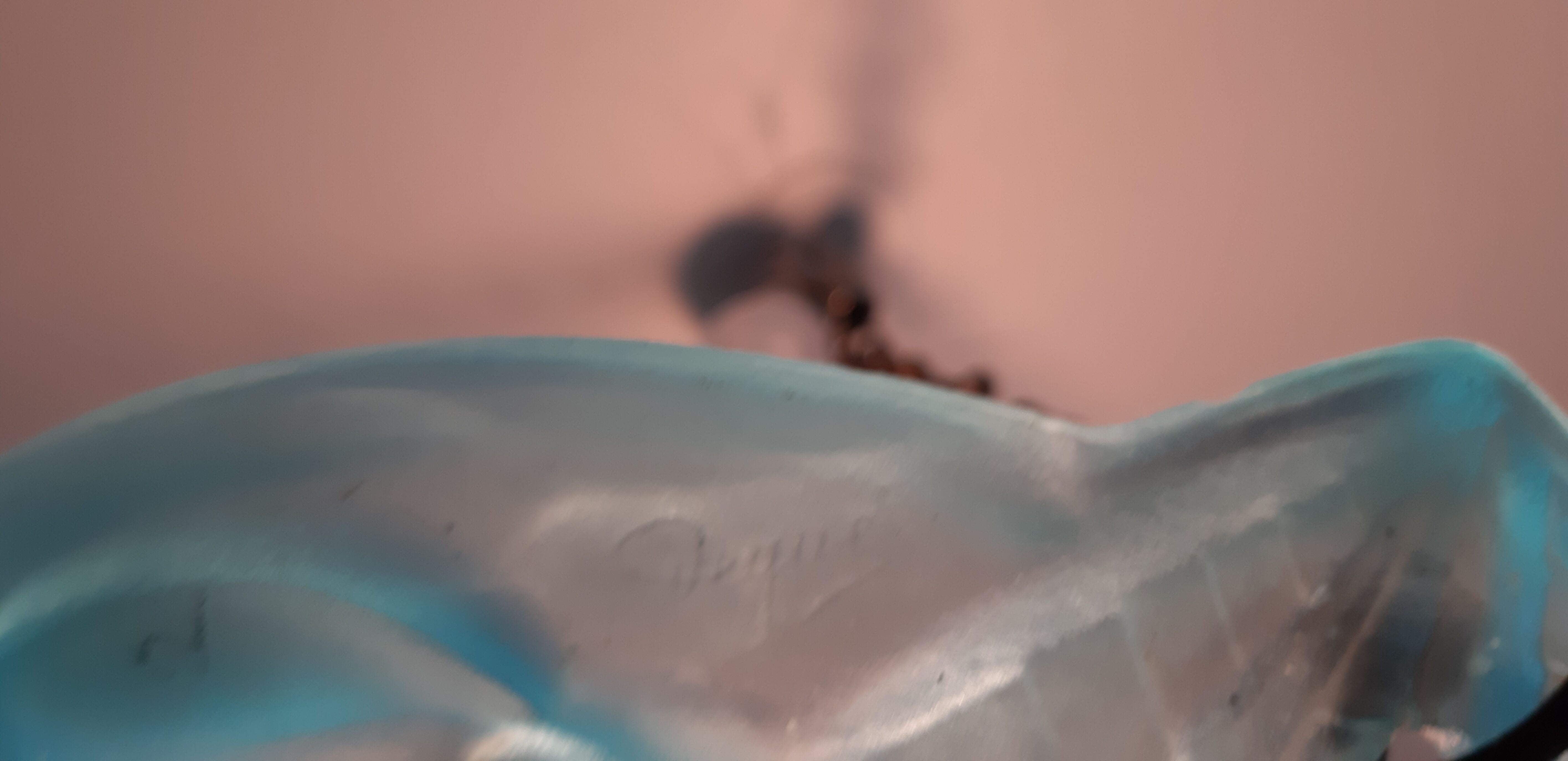 Glass chandelier Degué Blue