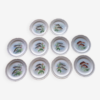 Set of 10 fish plates - royal porcelain