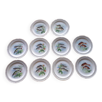 Set of 10 fish plates - royal porcelain