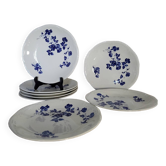 Gien plates