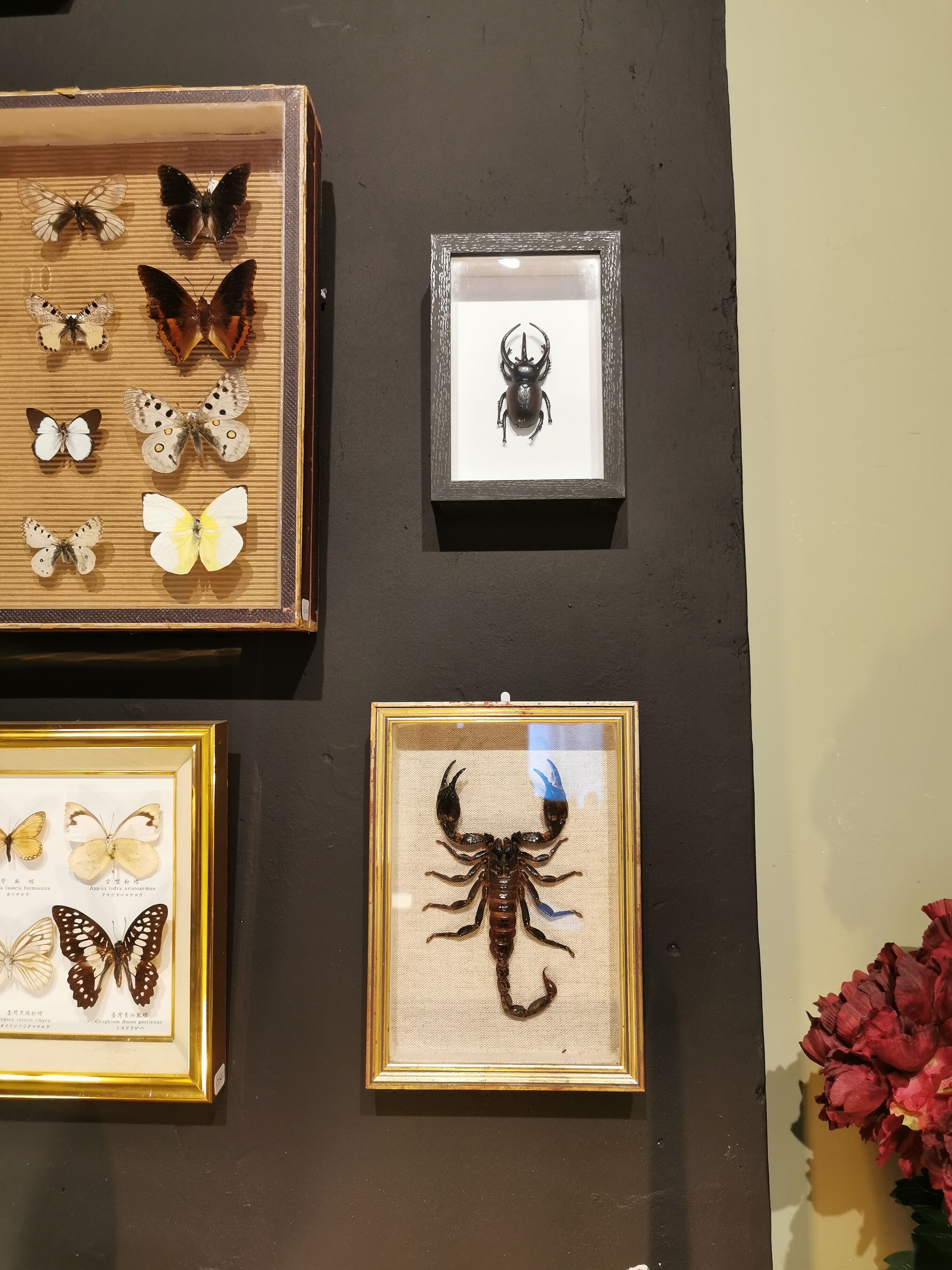 Vintage naturalized scorpion