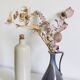 Ceramic vase Saint Amand Fournier Demars