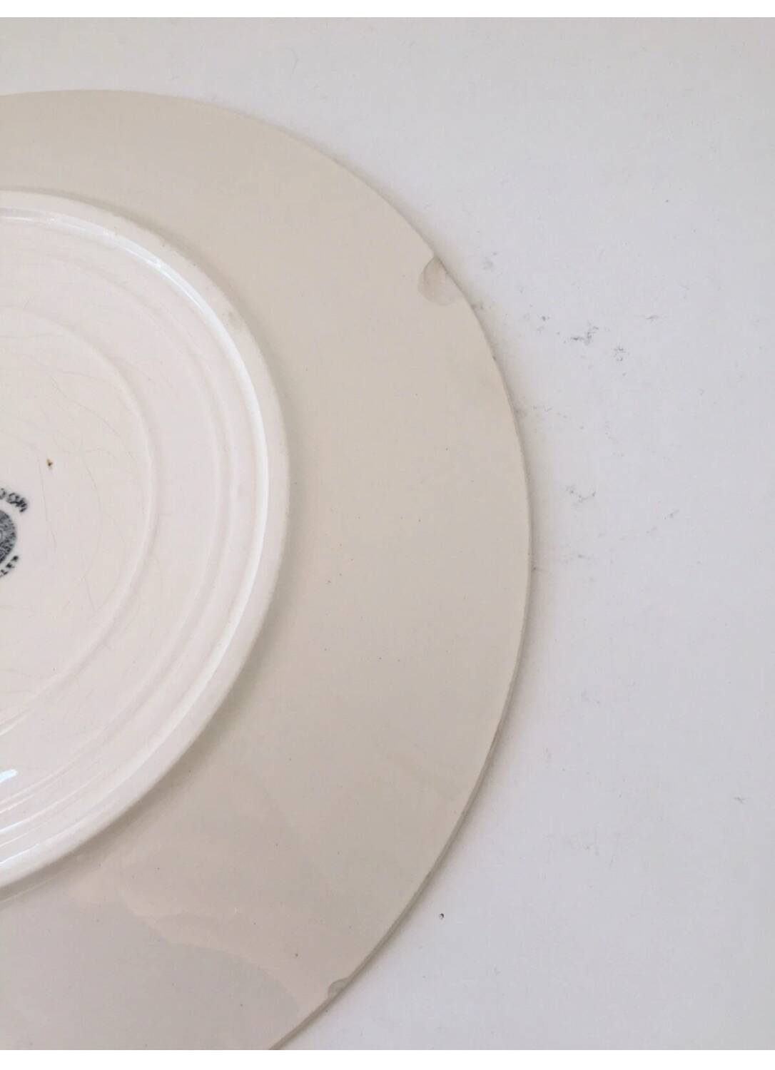 Badonviller Rosador flower dinner plates