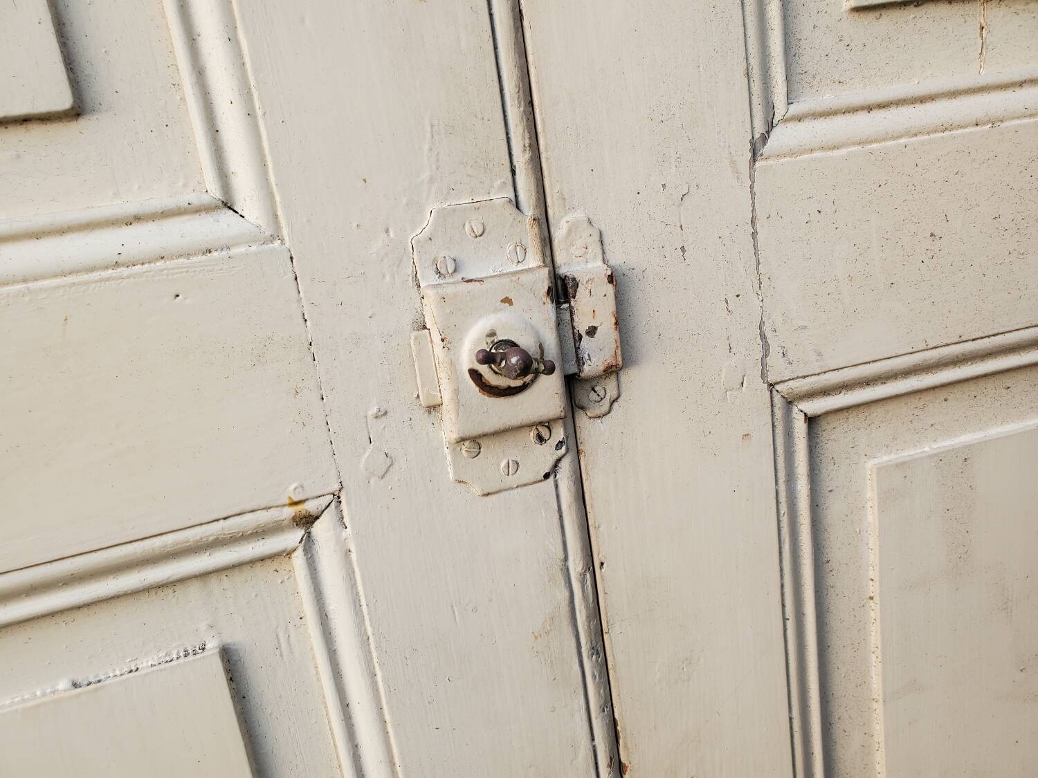 Pair of antique cupboard doors