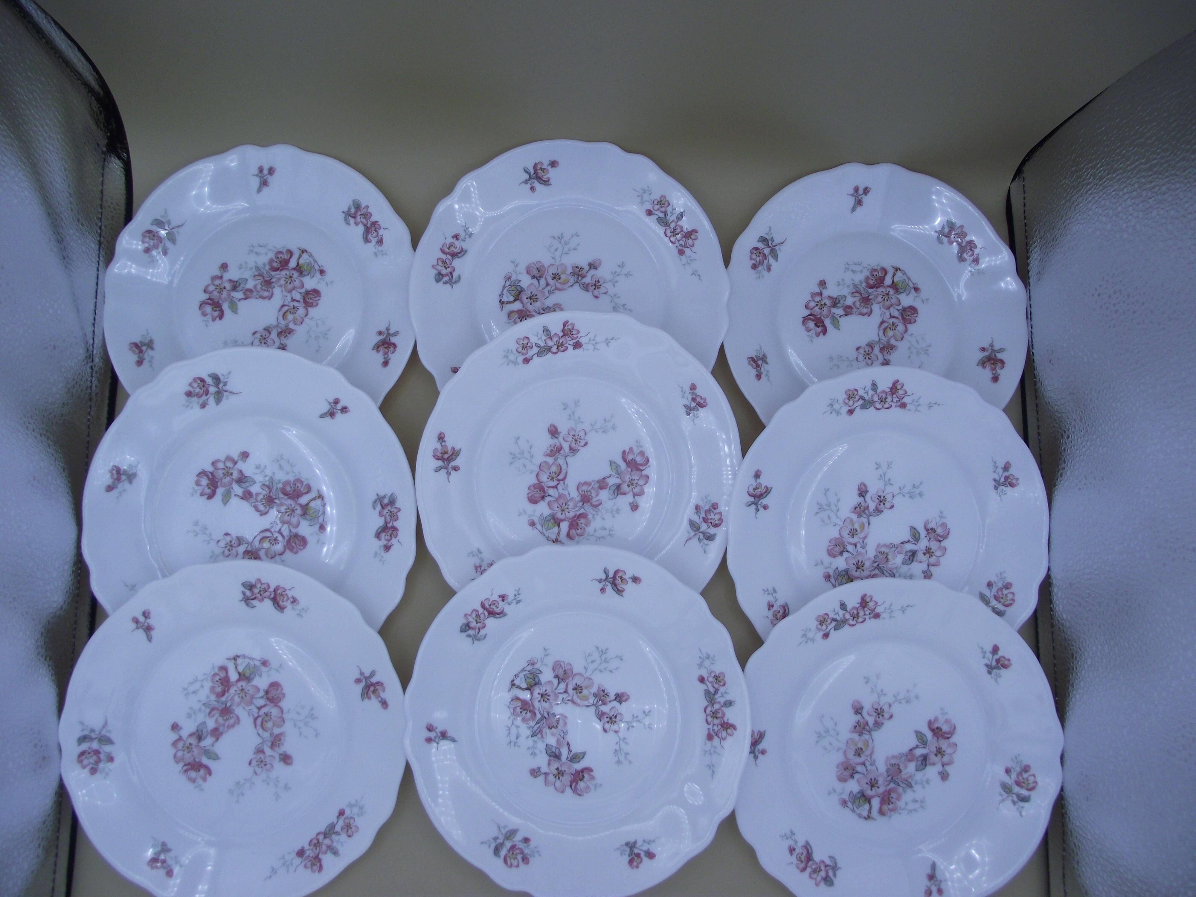 Lot of 9 dessert plates Arcopal France